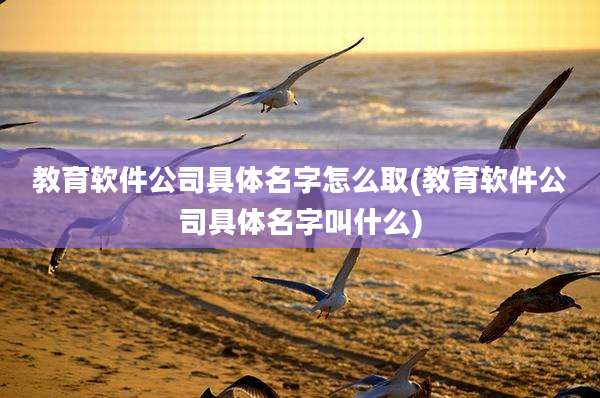 教育软件公司具体名字怎么取(教育软件公司具体名字叫什么)