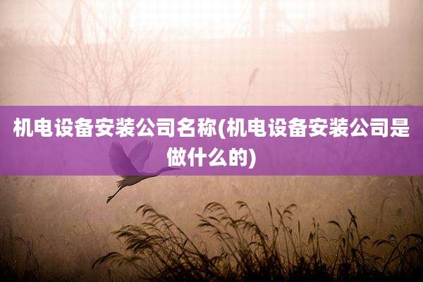 机电设备安装公司名称(机电设备安装公司是做什么的)