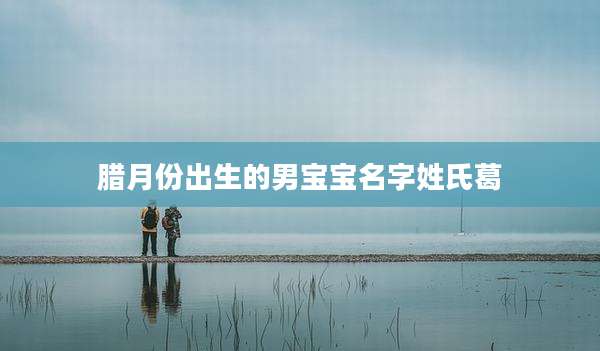 腊月份出生的男宝宝名字姓氏葛
