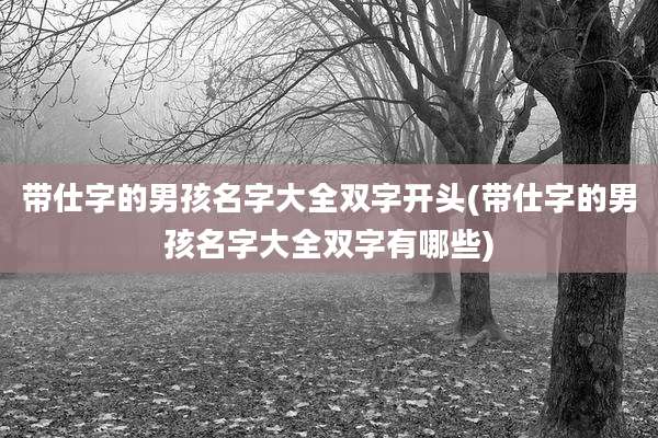 带仕字的男孩名字大全双字开头(带仕字的男孩名字大全双字有哪些)