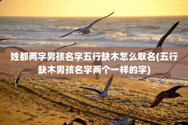 姓都两字男孩名字五行缺木怎么取名(五行缺木男孩名字两个一样的字)