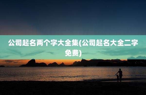 公司起名两个字大全集(公司起名大全二字免费)