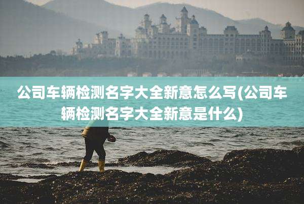 公司车辆检测名字大全新意怎么写(公司车辆检测名字大全新意是什么)