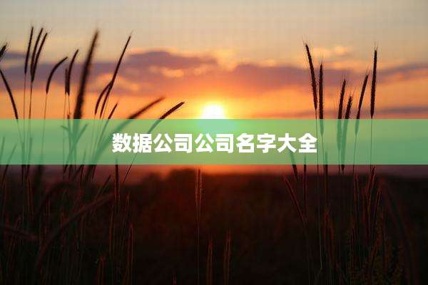 数据公司公司名字大全