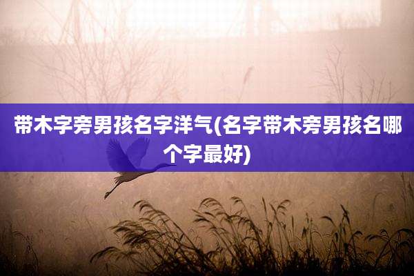 带木字旁男孩名字洋气(名字带木旁男孩名哪个字最好)