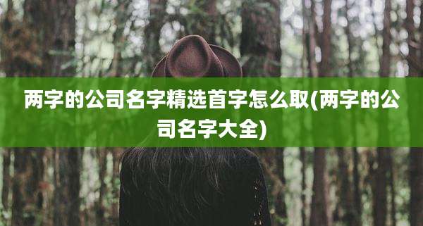 两字的公司名字精选首字怎么取(两字的公司名字大全)