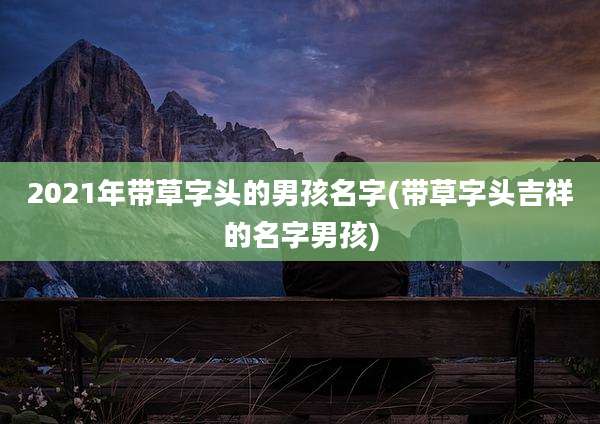2021年带草字头的男孩名字(带草字头吉祥的名字男孩)