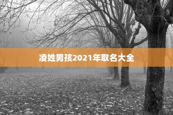 凌姓男孩2021年取名大全