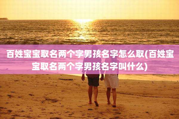 百姓宝宝取名两个字男孩名字怎么取(百姓宝宝取名两个字男孩名字叫什么)