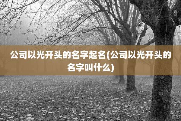 公司以光开头的名字起名(公司以光开头的名字叫什么)