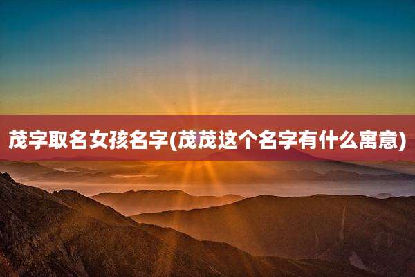 茂字取名女孩名字(茂茂这个名字有什么寓意)
