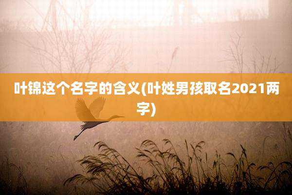 叶锦这个名字的含义(叶姓男孩取名2021两字)