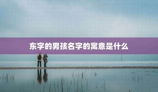 东字的男孩名字的寓意是什么