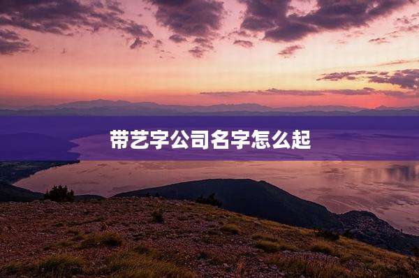 带艺字公司名字怎么起