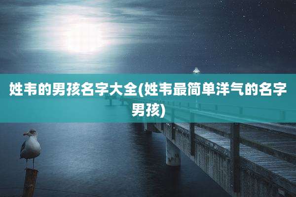 姓韦的男孩名字大全(姓韦最简单洋气的名字男孩)