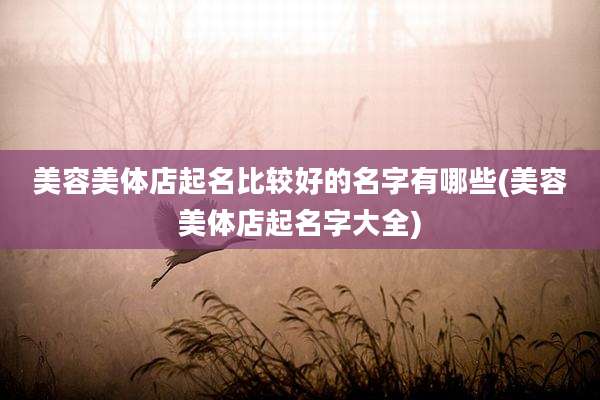 美容美体店起名比较好的名字有哪些(美容美体店起名字大全)