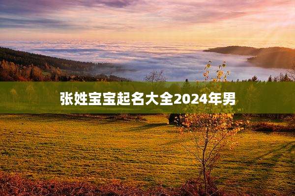 张姓宝宝起名大全2024年男