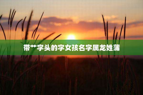 带艹字头的字女孩名字属龙姓蒲