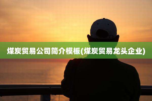 煤炭贸易公司简介模板(煤炭贸易龙头企业)