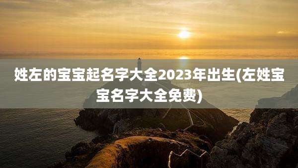 姓左的宝宝起名字大全2023年出生(左姓宝宝名字大全免费)