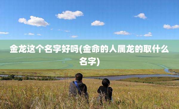 金龙这个名字好吗(金命的人属龙的取什么名字)