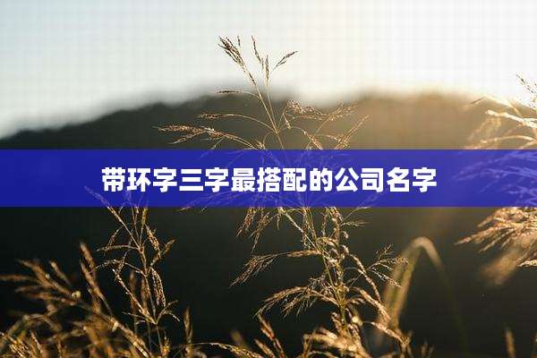 带环字三字最搭配的公司名字