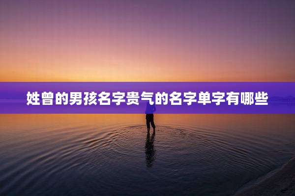 姓曾的男孩名字贵气的名字单字有哪些