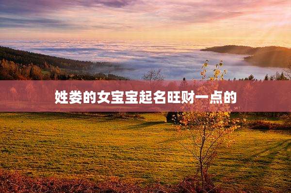 姓娄的女宝宝起名旺财一点的