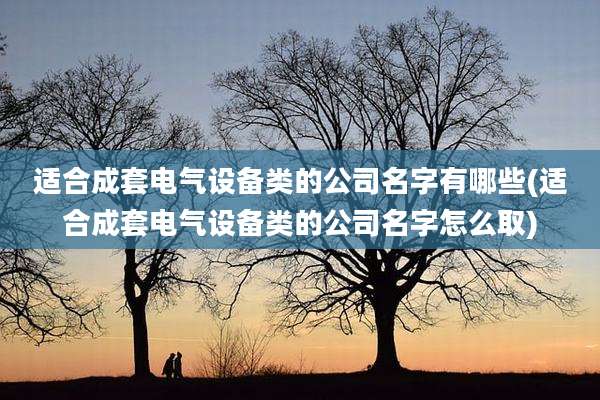适合成套电气设备类的公司名字有哪些(适合成套电气设备类的公司名字怎么取)