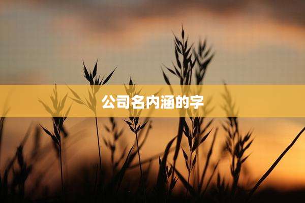 公司名内涵的字