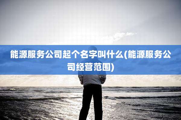 能源服务公司起个名字叫什么(能源服务公司经营范围)