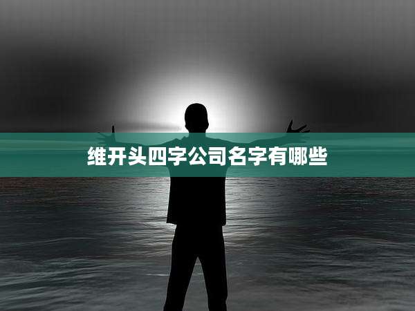 维开头四字公司名字有哪些