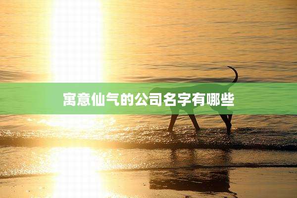 寓意仙气的公司名字有哪些