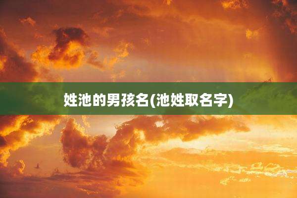 姓池的男孩名(池姓取名字)