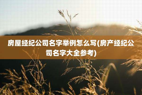 房屋经纪公司名字举例怎么写(房产经纪公司名字大全参考)