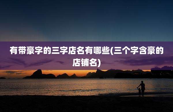 有带豪字的三字店名有哪些(三个字含豪的店铺名)