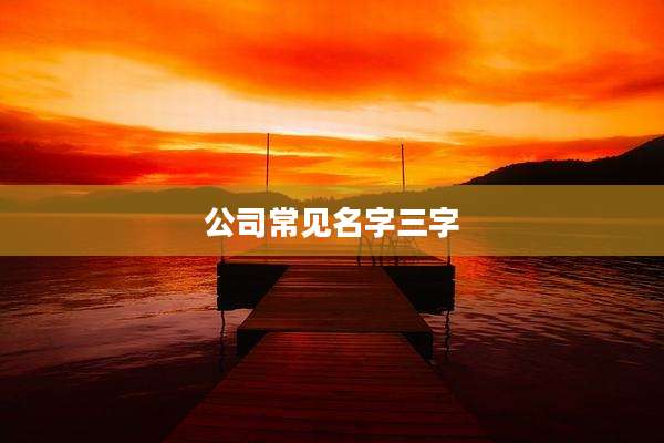 公司常见名字三字