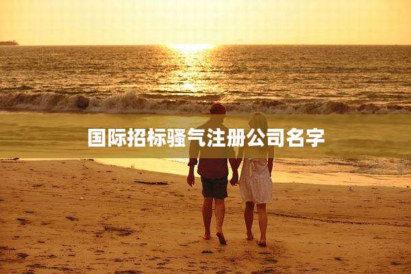 国际招标骚气注册公司名字
