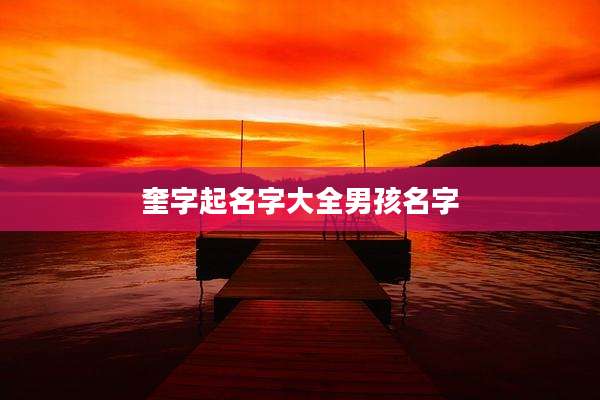 奎字起名字大全男孩名字