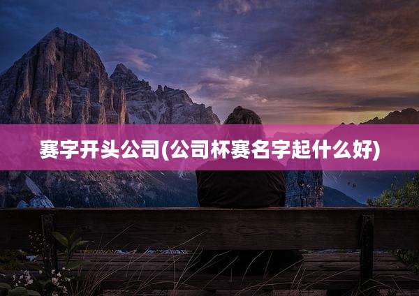 赛字开头公司(公司杯赛名字起什么好)