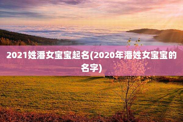 2021姓潘女宝宝起名(2020年潘姓女宝宝的名字)
