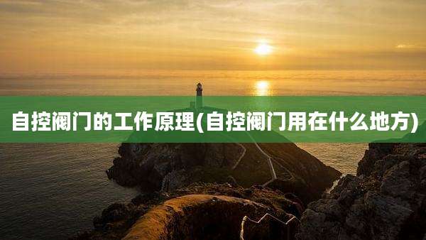自控阀门的工作原理(自控阀门用在什么地方)
