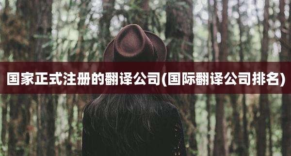 国家正式注册的翻译公司(国际翻译公司排名)