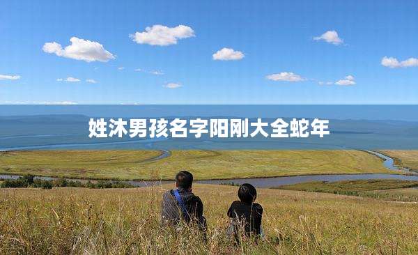 姓沐男孩名字阳刚大全蛇年