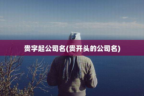 贵字起公司名(贵开头的公司名)