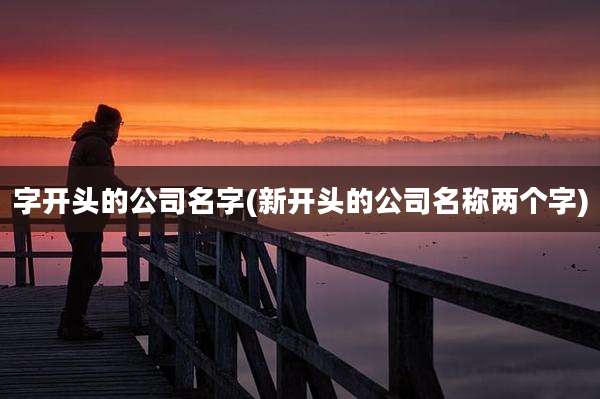 字开头的公司名字(新开头的公司名称两个字)