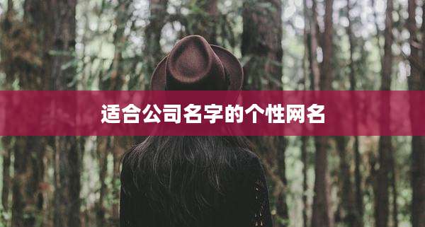 适合公司名字的个性网名