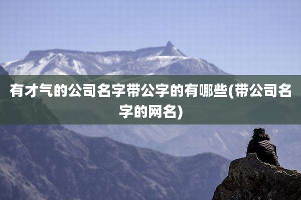 有才气的公司名字带公字的有哪些(带公司名字的网名)