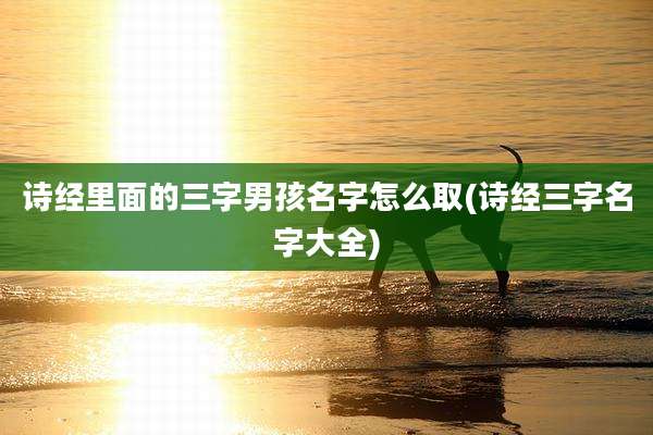 诗经里面的三字男孩名字怎么取(诗经三字名字大全)