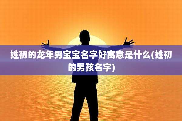 姓初的龙年男宝宝名字好寓意是什么(姓初的男孩名字)